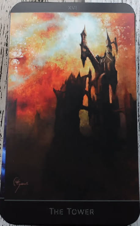 The Lost Forest Tarot